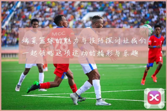 端菜篮球的魅力与技巧探讨让我们一起领略这项运动的精彩与乐趣