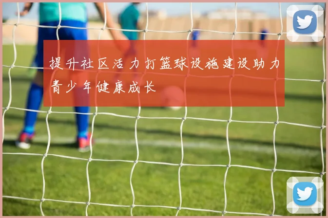 提升社区活力打篮球设施建设助力青少年健康成长
