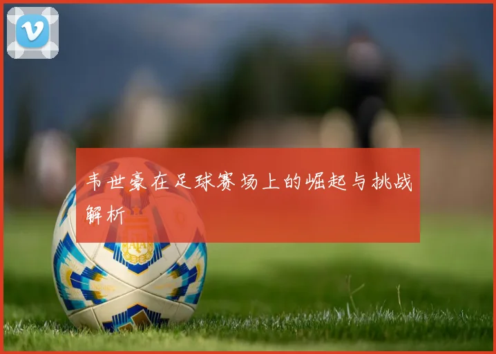韦世豪在足球赛场上的崛起与挑战解析