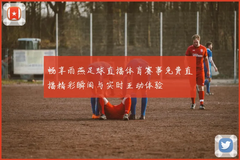 畅享雨燕足球直播体育赛事免费直播精彩瞬间与实时互动体验